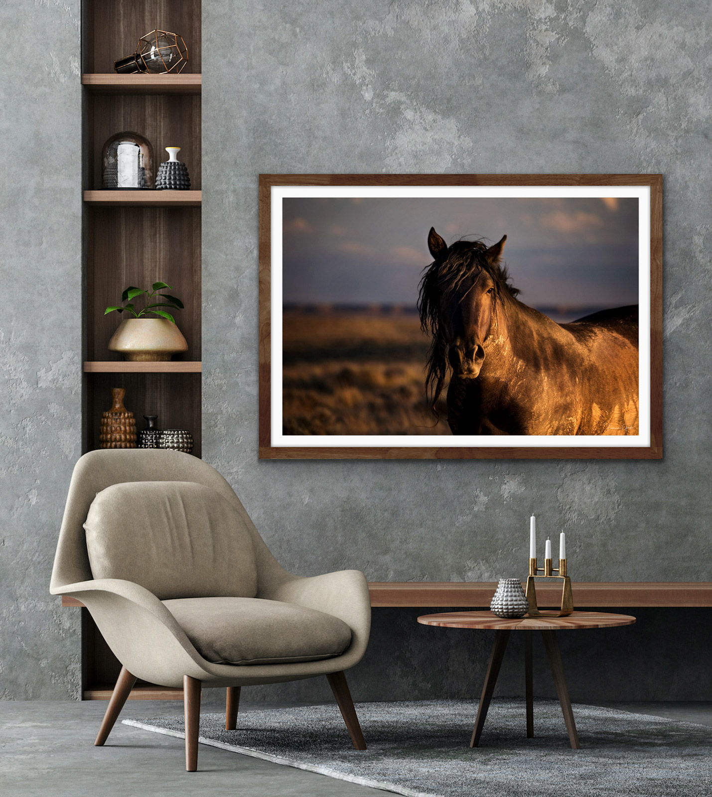 Black Mustang Horse | Wyoming | Photos by Tamara Gooch