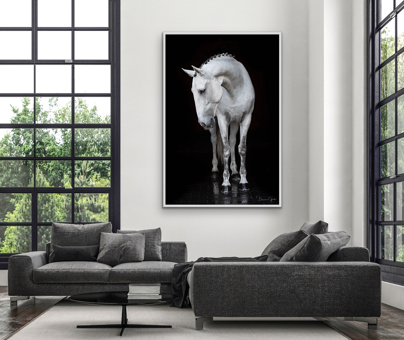 Luxurious Lusitano Horse | USA | Photos by Tamara Gooch