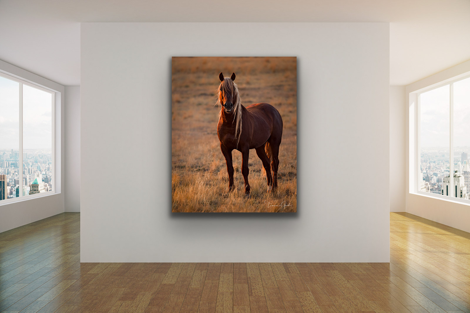 Wild Horse Golden Hour | Wyoming | Photos by Tamara Gooch